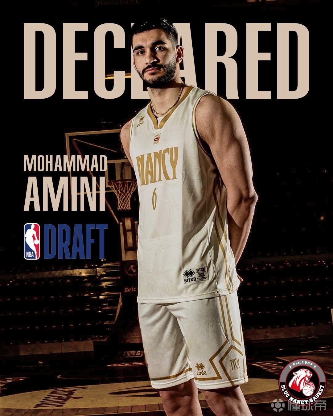 勇闖美利堅，官方：伊朗20歲前鋒阿米尼將參加2026年NBA選秀